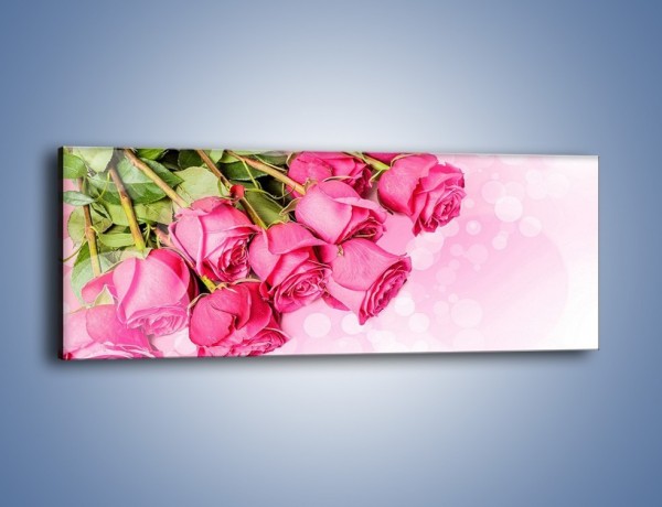 Obraz na płótnie – Róże do góry nogami – jednoczęściowy panoramiczny K270