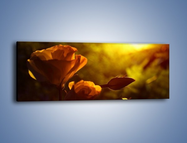Obraz na płótnie – Wspomnienia w różanym ogrodzie – jednoczęściowy panoramiczny K274