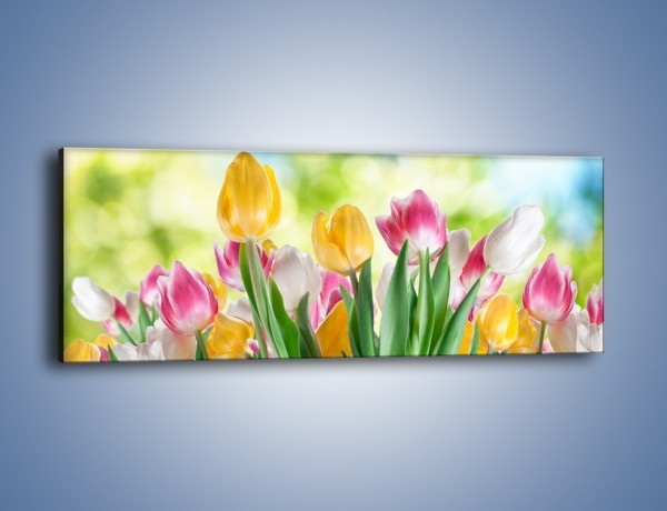 Obraz na płótnie – Tulipany pełne radości – jednoczęściowy panoramiczny K278
