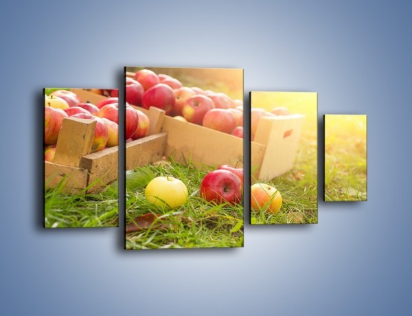 Obraz na płótnie – Jabłka skąpane w trawie – czteroczęściowy JN628W4