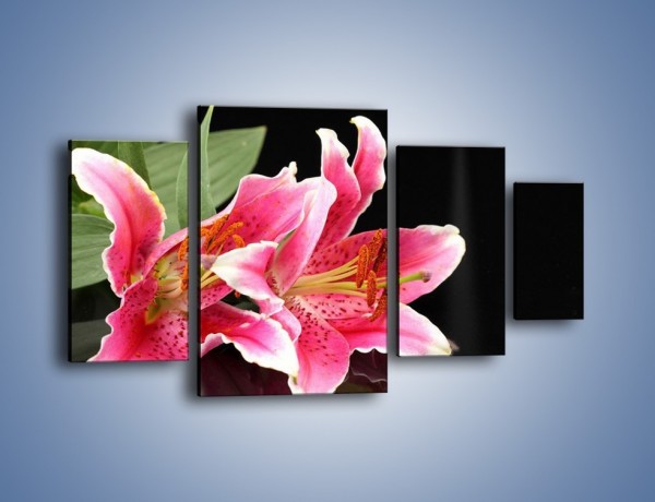 Obraz na płótnie – Rozwinięte lilie na czarnym tle – czteroczęściowy K007W4