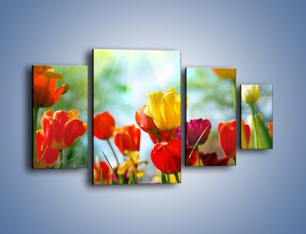 Obraz na płótnie – Pole polskich tulipanów – czteroczęściowy K011W4