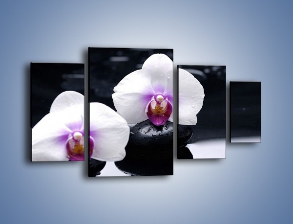 Obraz na płótnie – Główki białych storczyków – czteroczęściowy K024W4