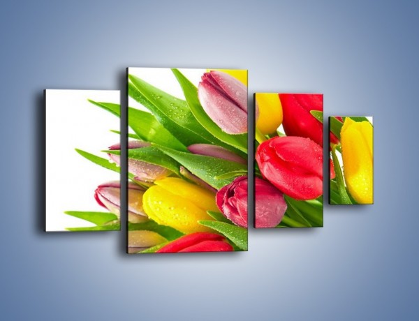 Obraz na płótnie – Kropelki wody na kolorowych tulipanach – czteroczęściowy K049W4
