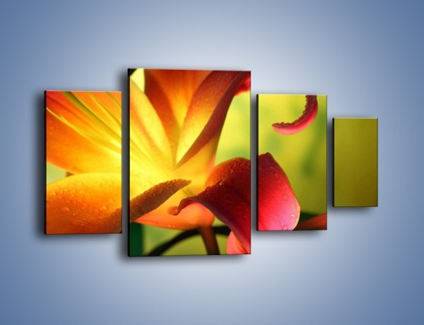 Obraz na płótnie – Rozwinięta lilia w kolorze słońca – czteroczęściowy K054W4