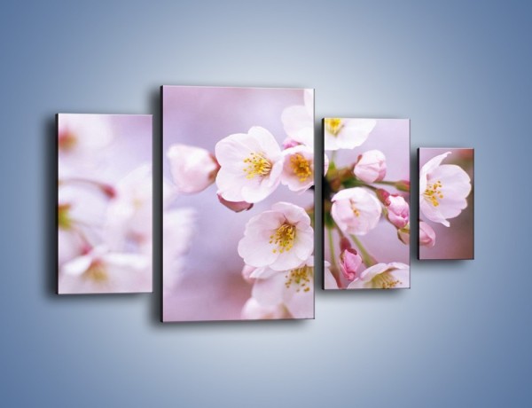 Obraz na płótnie – Gałązka kwiatów jabłoni – czteroczęściowy K102W4