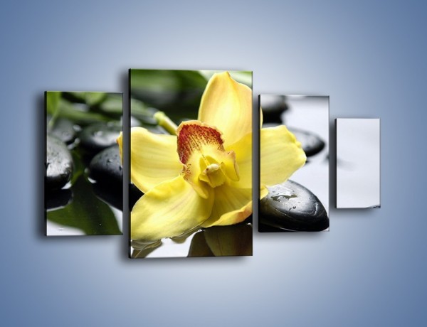 Obraz na płótnie – Żółty kwiat na mokrych kamieniach – czteroczęściowy K155W4