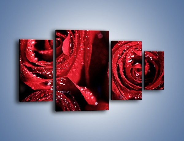 Obraz na płótnie – Róża czerwona jak wino – czteroczęściowy K170W4