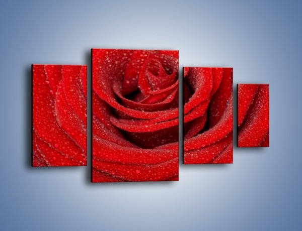 Obraz na płótnie – Czerwona moc w róży – czteroczęściowy K171W4