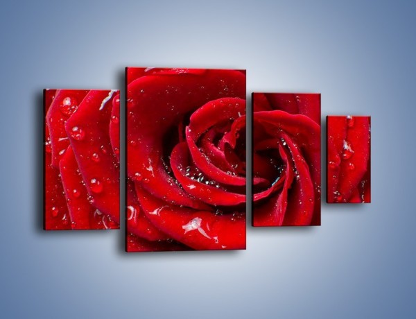 Obraz na płótnie – Kwiat pełen miłości – czteroczęściowy K179W4
