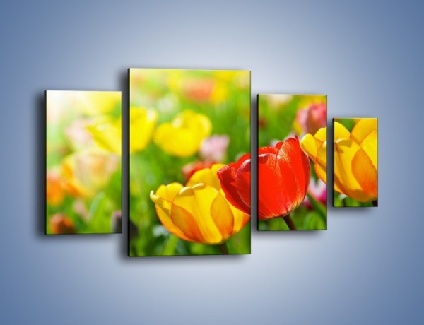 Obraz na płótnie – Wiosenne piękno w tulipanach – czteroczęściowy K213W4