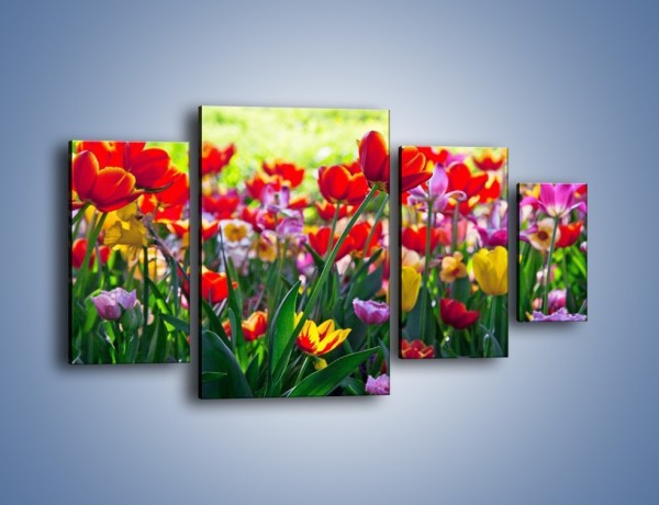 Obraz na płótnie – Odpoczynek wśród tulipanów – czteroczęściowy K218W4