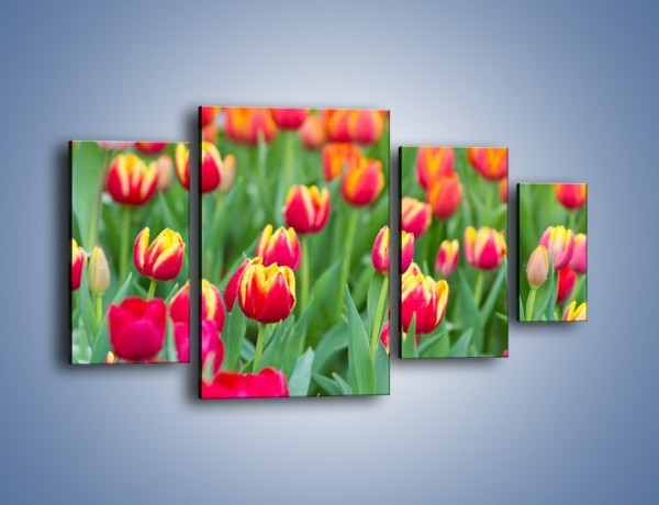 Obraz na płótnie – Spacer wśród czerwonych tulipanów – czteroczęściowy K231W4