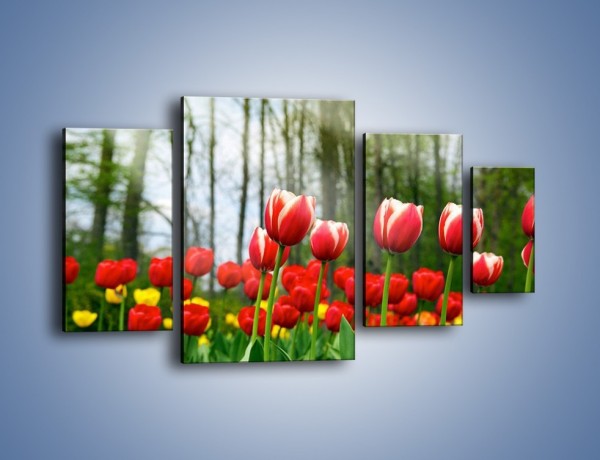 Obraz na płótnie – Leśna polana pełna tulipanów – czteroczęściowy K319W4