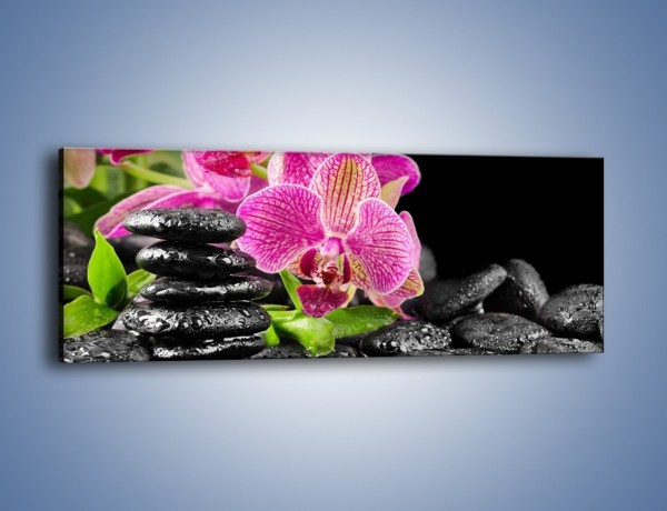 Obraz na płótnie – Kwiat i nie tylko – jednoczęściowy panoramiczny K309