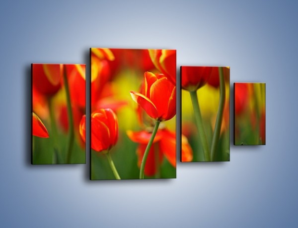 Obraz na płótnie – Wyraźny charakter tulipanów – czteroczęściowy K349W4