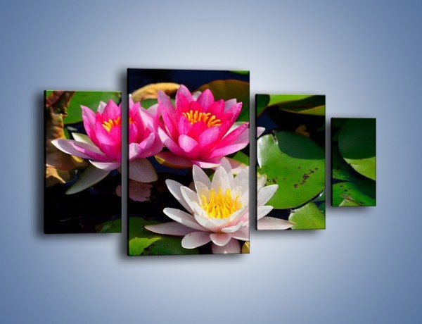 Obraz na płótnie – Pływające kwiaty – czteroczęściowy K392W4