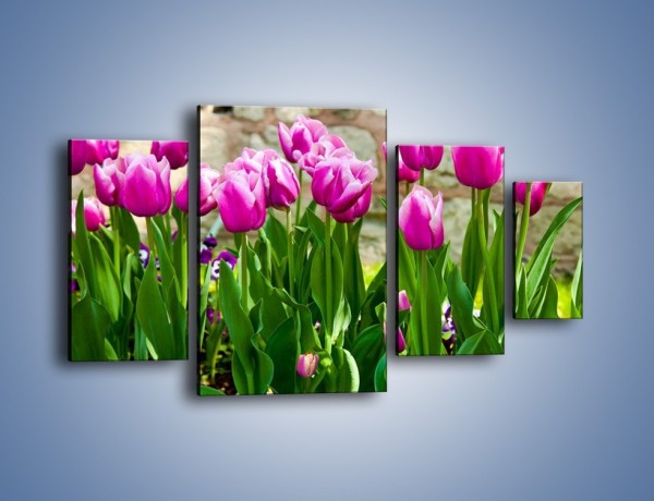 Obraz na płótnie – Tulipany w domowym ogródku – czteroczęściowy K409W4