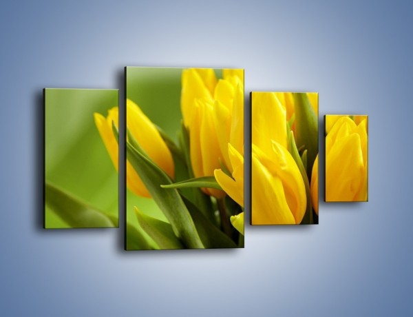 Obraz na płótnie – Słońce schowane w tulipanach – czteroczęściowy K424W4