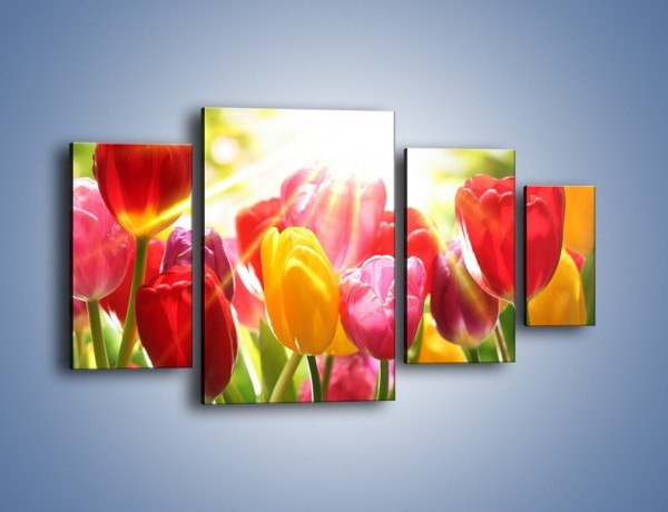 Obraz na płótnie – Bajecznie słoneczne tulipany – czteroczęściowy K428W4