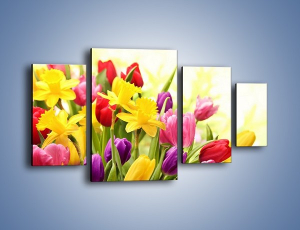 Obraz na płótnie – Żonkile wśród tulipanów – czteroczęściowy K430W4