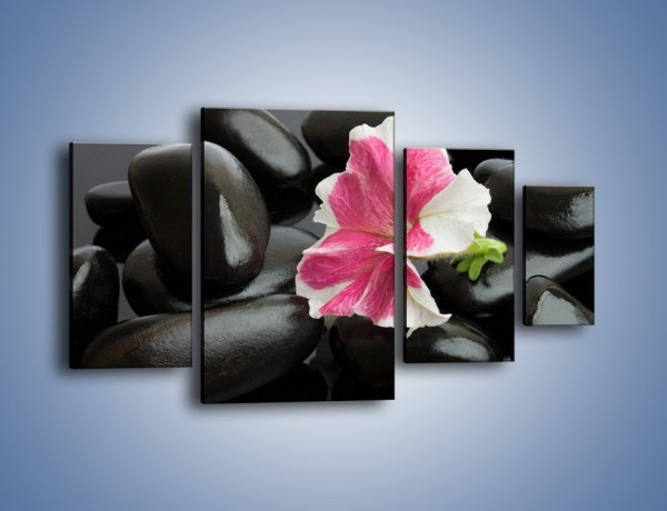 Obraz na płótnie – Kwiat zakopany w kamieniach – czteroczęściowy K521W4