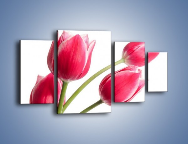 Obraz na płótnie – Pięć razy tulipany – czteroczęściowy K551W4