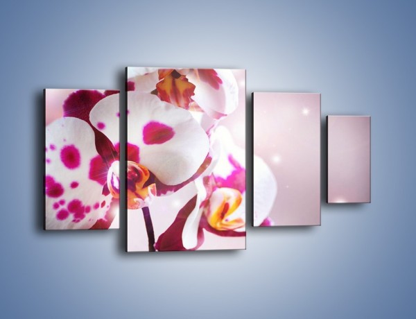 Obraz na płótnie – Storczyk w różowych plamkach – czteroczęściowy K607W4