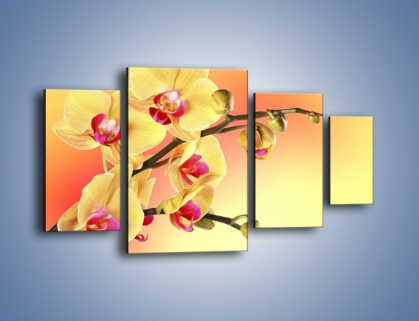 Obraz na płótnie – Kwiat w kolorze grejfruta – czteroczęściowy K649W4