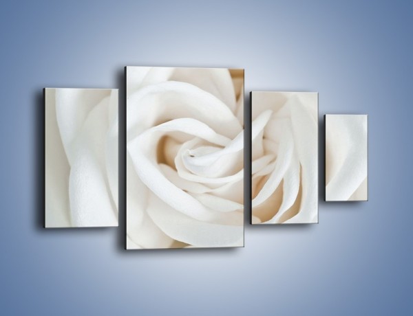 Obraz na płótnie – Biel róży za dnia – czteroczęściowy K709W4