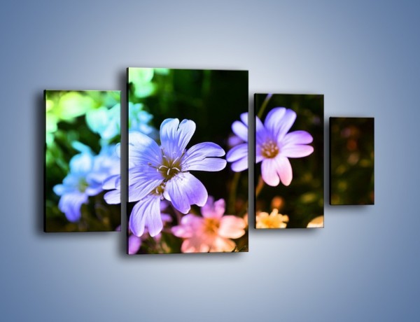 Obraz na płótnie – Niebieskie główki kwiatuszków – czteroczęściowy K769W4