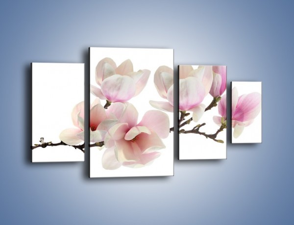 Obraz na płótnie – Zerwana gałązka magnolii – czteroczęściowy K780W4