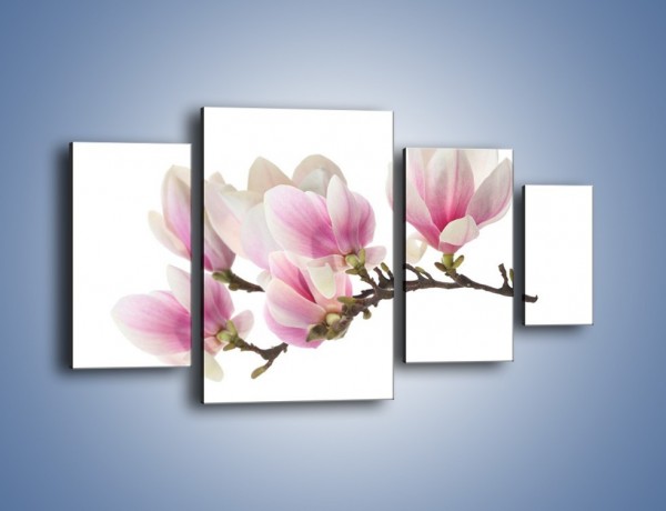 Obraz na płótnie – Rzut na gałąź magnolii – czteroczęściowy K782W4
