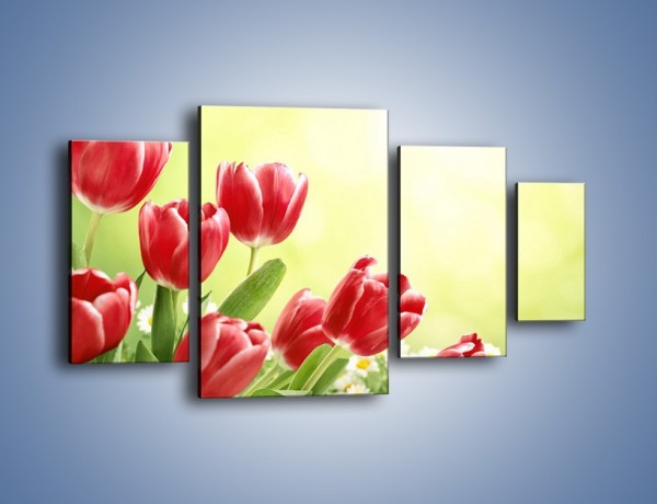 Obraz na płótnie – Polne tulipany i stokrotki – czteroczęściowy K789W4
