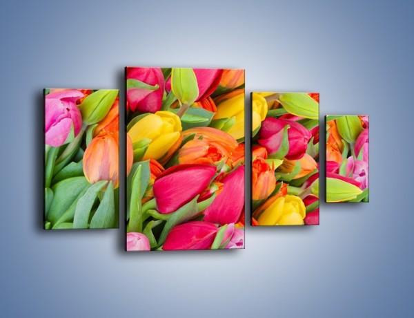 Obraz na płótnie – Ścięte pole tulipanów – czteroczęściowy K803W4