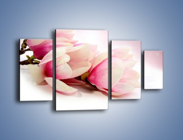 Obraz na płótnie – Gałąź magnolii na obłoku – czteroczęściowy K817W4
