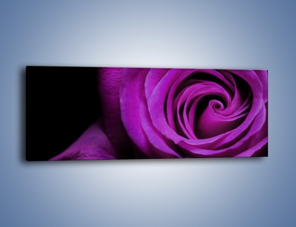 Obraz na płótnie – Tajemniczy różany fiolet – jednoczęściowy panoramiczny K313