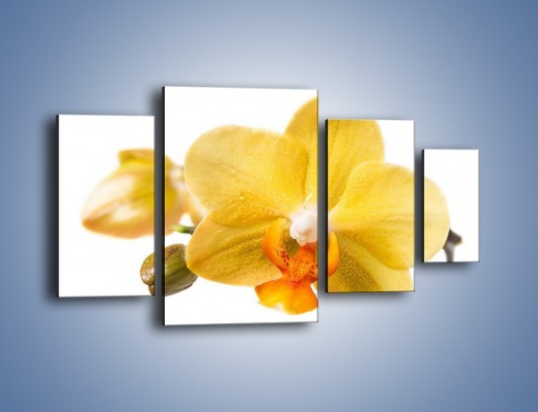 Obraz na płótnie – Kwiat jak soczysta pomarańcza – czteroczęściowy K851W4