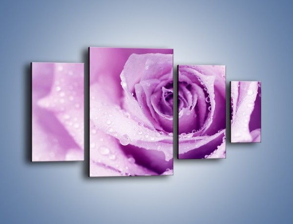Obraz na płótnie – Jasny fiolet w róży – czteroczęściowy K894W4