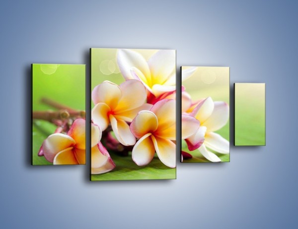 Obraz na płótnie – Nowa odmiana magnolii – czteroczęściowy K899W4