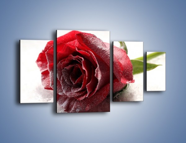 Obraz na płótnie – Zimne podłoże i czerwona róża – czteroczęściowy K933W4