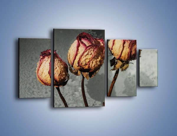 Obraz na płótnie – Ususzone zmoczone róże – czteroczęściowy K944W4