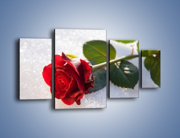 Obraz na płótnie – Gorąca róża na zmrożonej tafli – czteroczęściowy K946W4