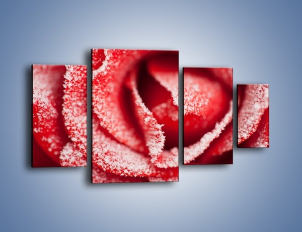 Obraz na płótnie – Zima widoczna na róży – czteroczęściowy K974W4