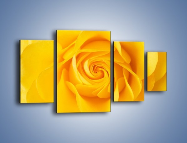 Obraz na płótnie – Moc żółtej róży – czteroczęściowy K989W4
