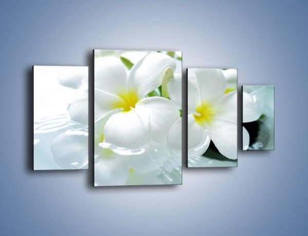 Obraz na płótnie – Białe kwiaty w potoku – czteroczęściowy K991W4