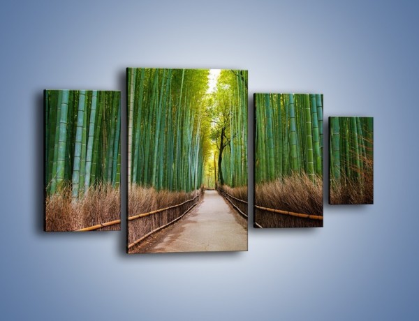 Obraz na płótnie – Bambusowy las – czteroczęściowy KN1187AW4