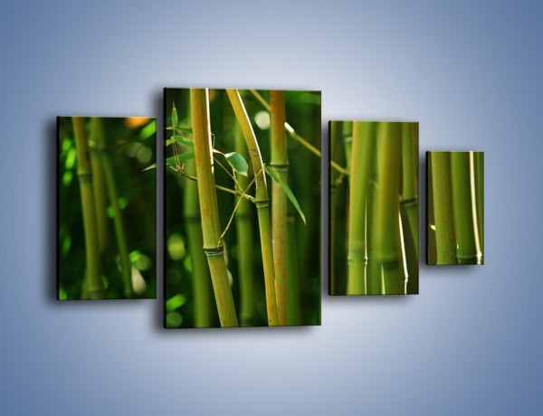 Obraz na płótnie – Bambusowe łodygi z bliska – czteroczęściowy KN118W4