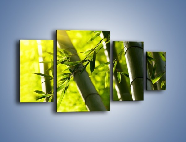 Obraz na płótnie – Twarde łodygi bambusa – czteroczęściowy KN1314AW4