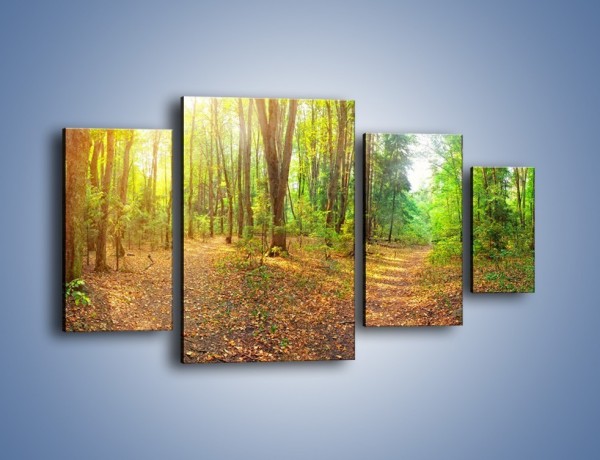Obraz na płótnie – Przejrzysty piękny las – czteroczęściowy KN1344AW4